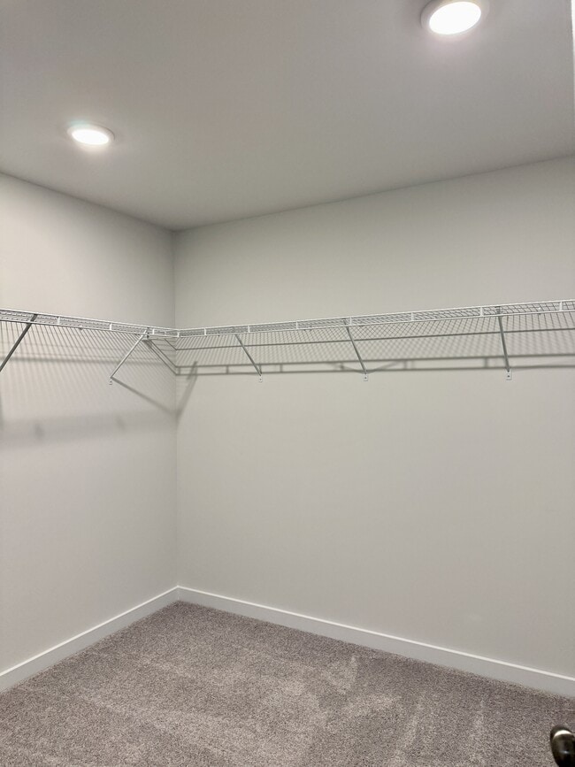 Building Photo - 1004 Sutherland Ln