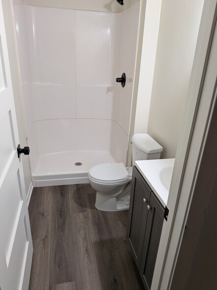Lower level bath - 9931 Cord St NE