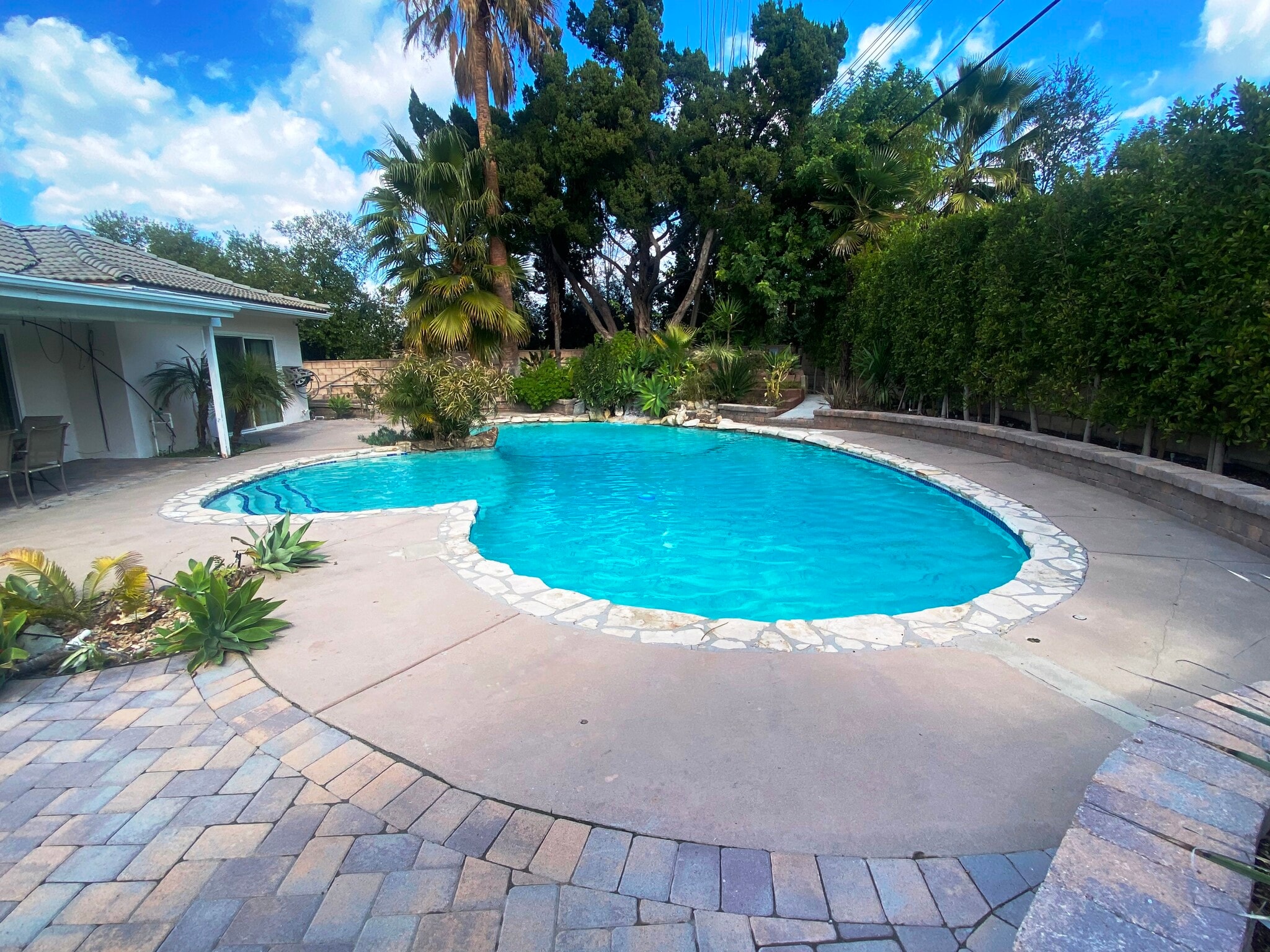 Lagoon Style Pool - 23552 Kivik St