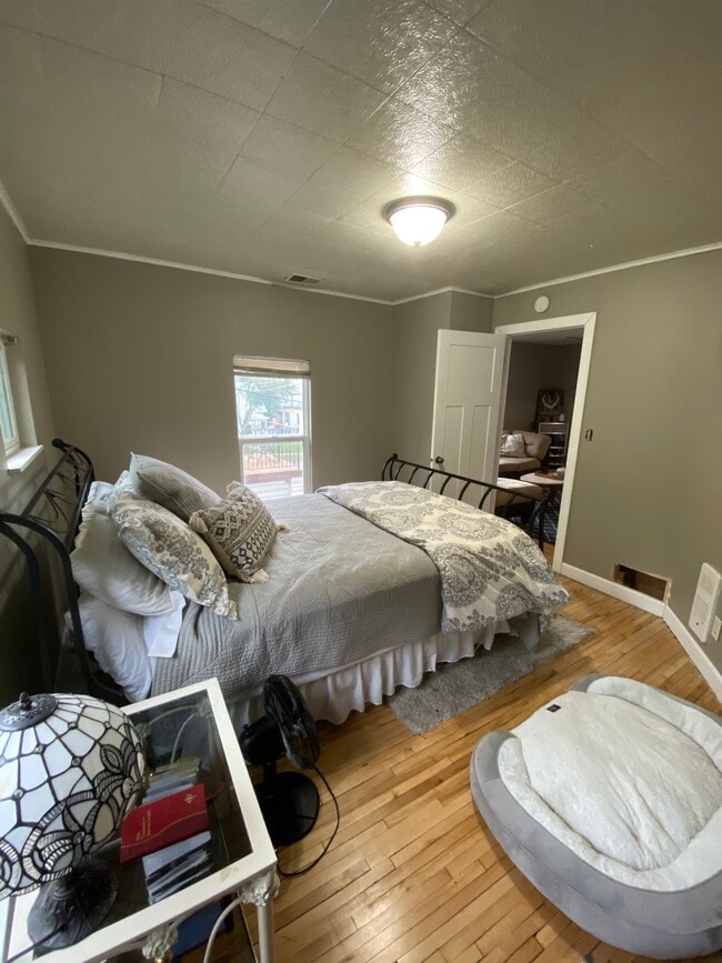 Spacious lower level bedroom with mast closet - 1346 W Minnehaha Ave