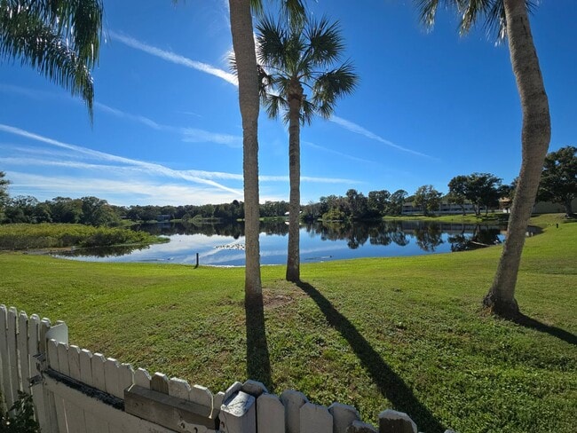 Building Photo - 2-Bedroom, 2-Bathroom Condo in Land O' Lakes