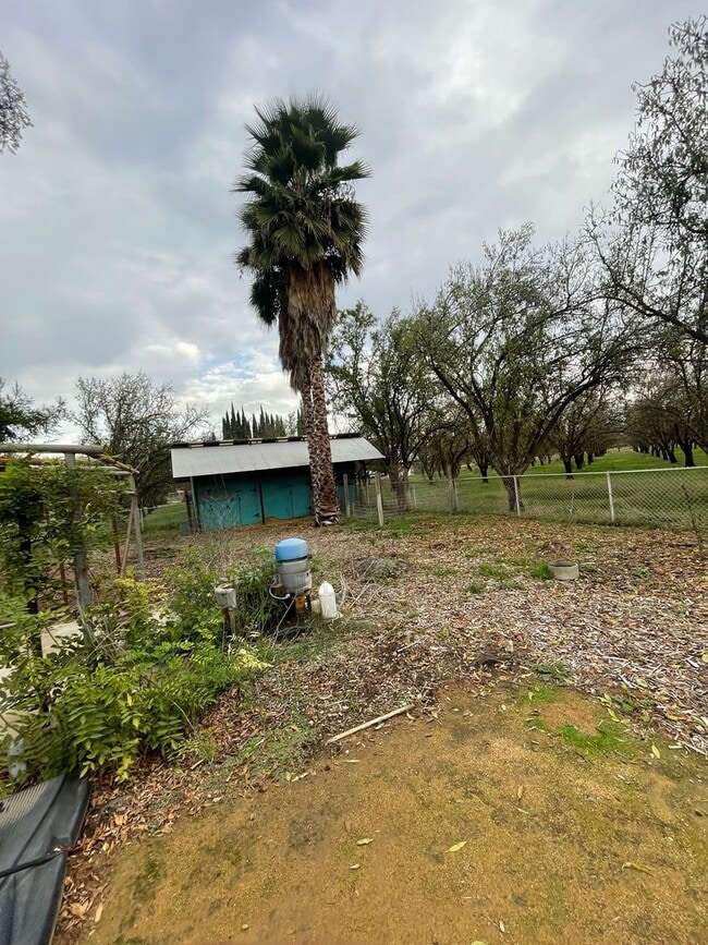 Building Photo - Large 3bd 2 ba home with a great country feel.