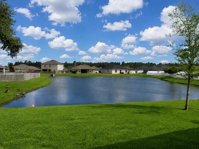 Building Photo - Beautiful 4/2, Minutes From the Beach!