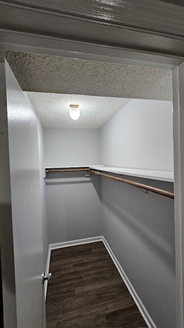 Building Photo - 3301 Chesapeake Cir