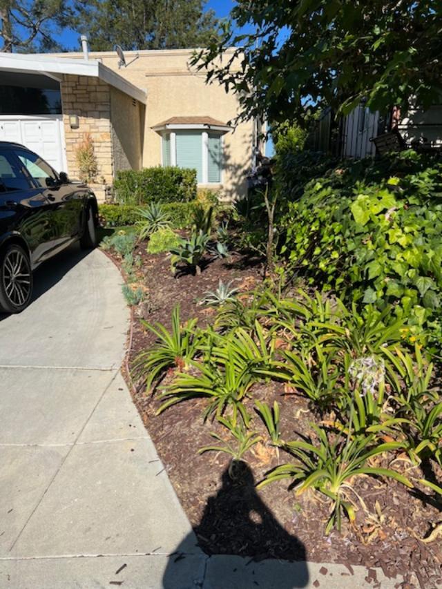 Water-friendly, native flora in front yard - 2812 Anchor Ave
