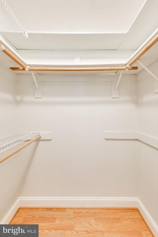 Building Photo - 7806 Fox Gate Ct