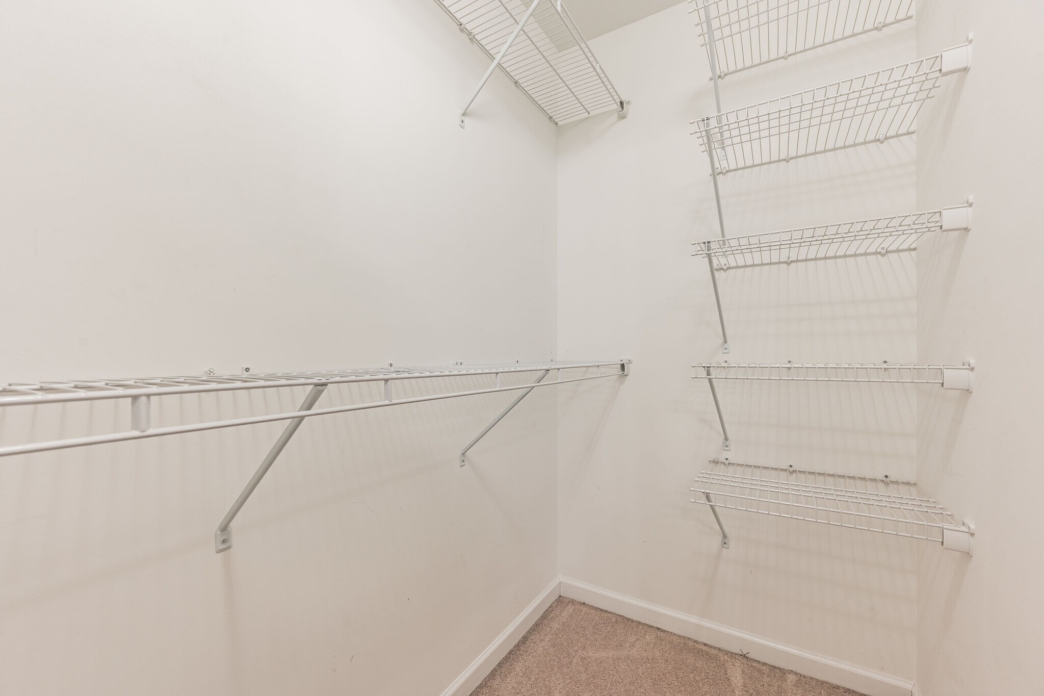 Building Photo - 6208 Mimosa Gardens Dr