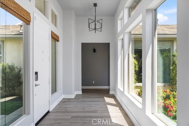 Building Photo - 1413 Ellerg Way