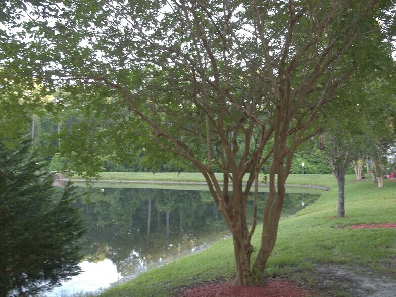 Building Photo - 609 Southbranch Dr