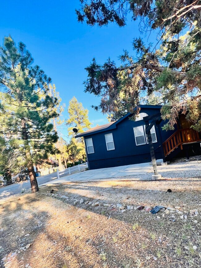 Primary Photo - 313 Brewer Way
