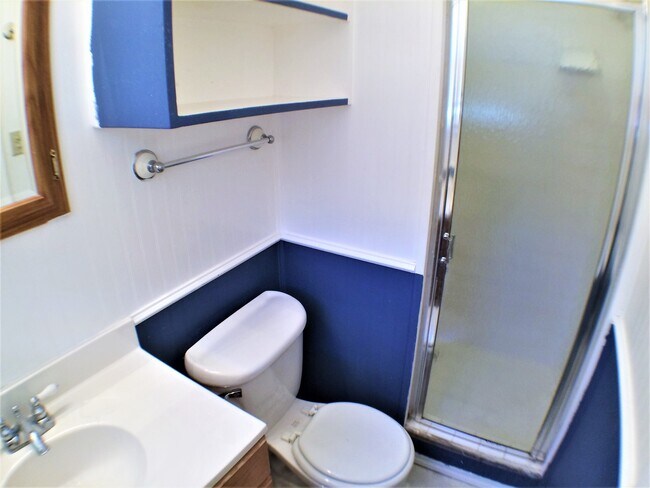 Building Photo - 4 Bed 2 Bath Home  w New Upgrades in Halto...