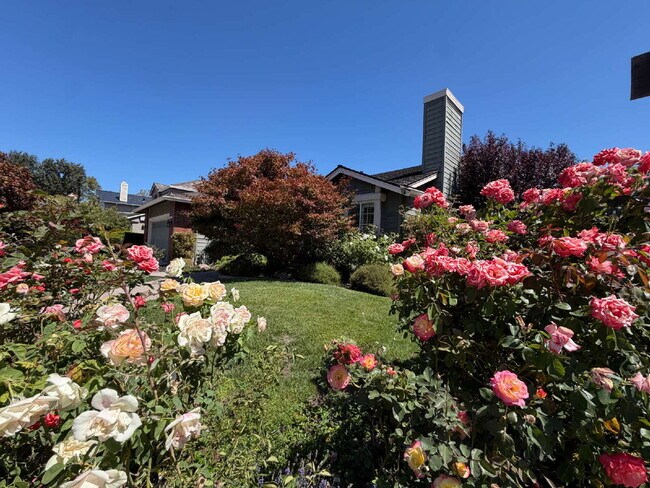 Building Photo - "Charming 4-Bed Oasis with Granite Touches with Tennis and Poolside Bliss steps away in Danville!"