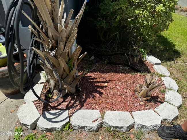 Building Photo - 205 Covington St