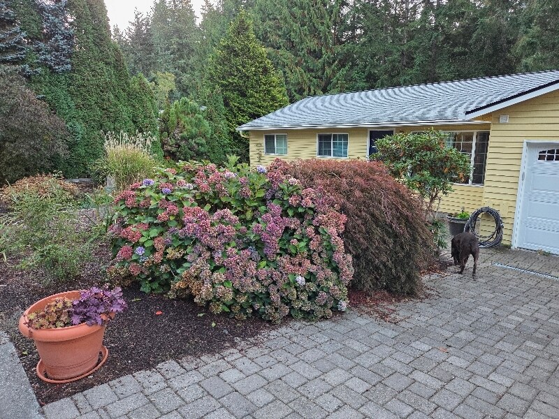 Building Photo - 6228 171st St SW