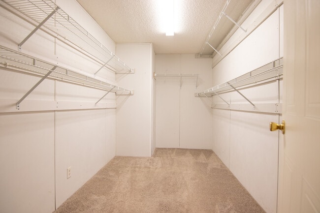 Building Photo - 1520 Linzay St