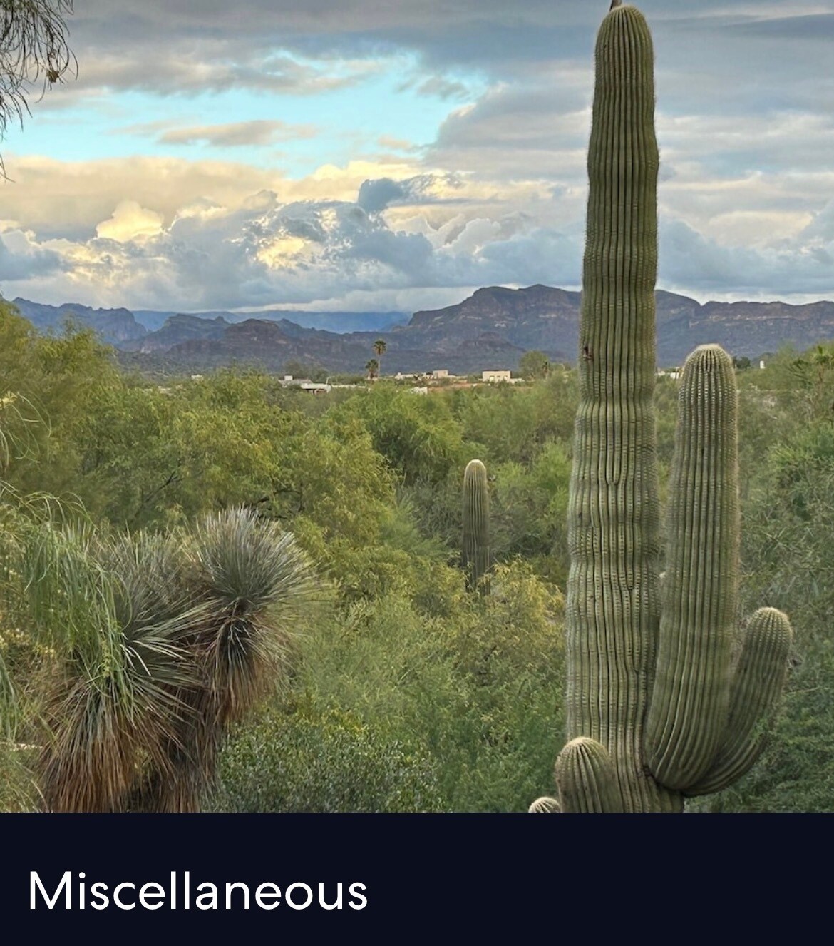 Building Photo - 10177 E La Palma Ave