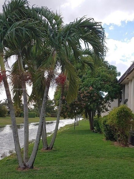 Building Photo - 11128 Royal Palm Blvd