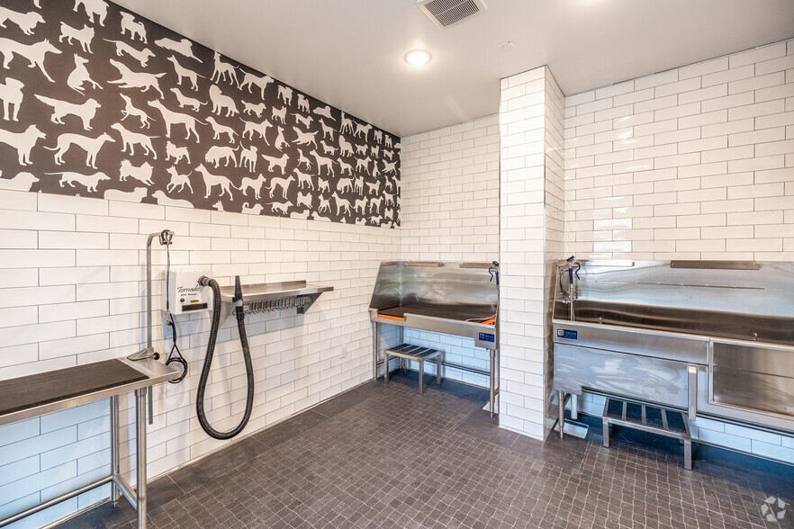 Dog Spa - 19th & Graf Apartments