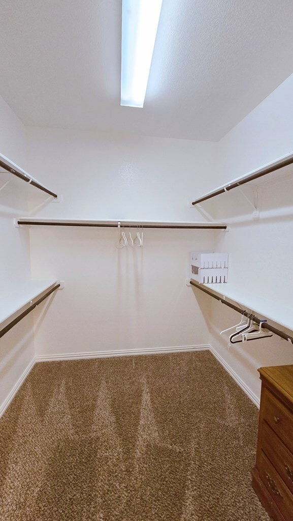 Building Photo - 7309 Raphael St