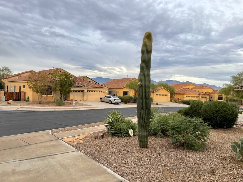 View from garage - 12905 N Mesozoic Dr