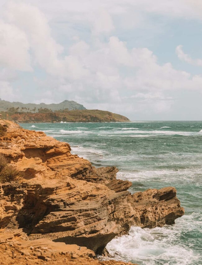 Building Photo - 525 Aleka Loop