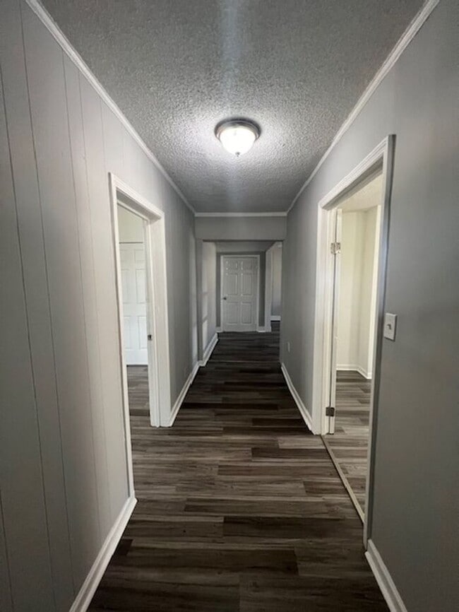 Building Photo - Beautiful 4 bedroom 1.5 bath House