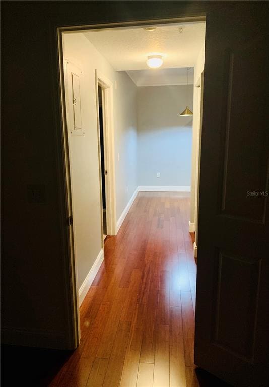 Building Photo - 4207 S Dale Mabry Hwy