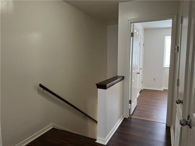 Building Photo - 59 Carriage Ln