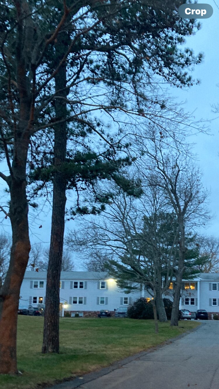 Building Photo - 681 State Rd