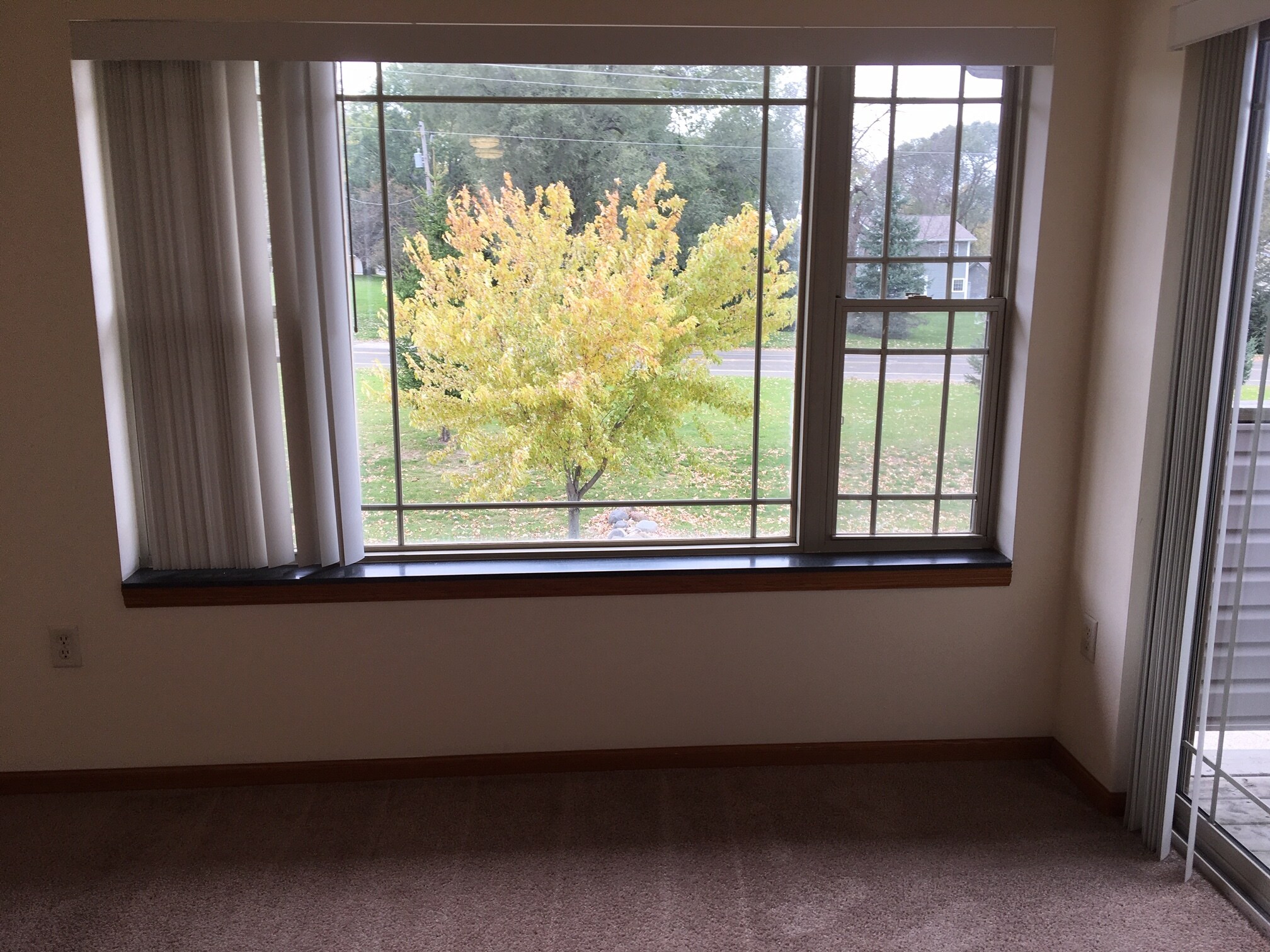 Building Photo - 6645 Scattergood Ln