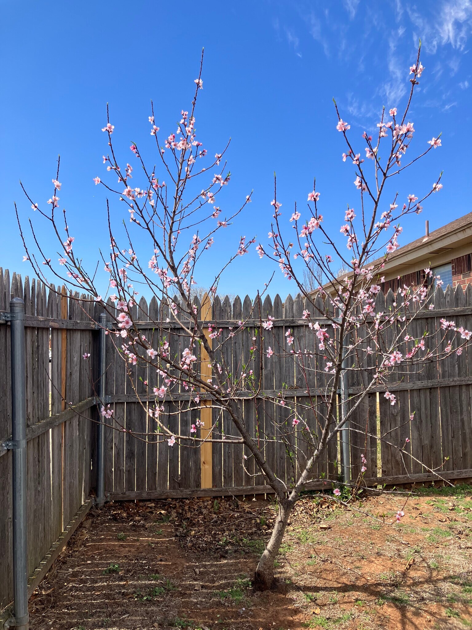 Building Photo - 16300 Seminole Dr