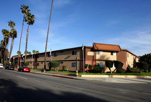 Building Photo - Magnolia Tree Apartments