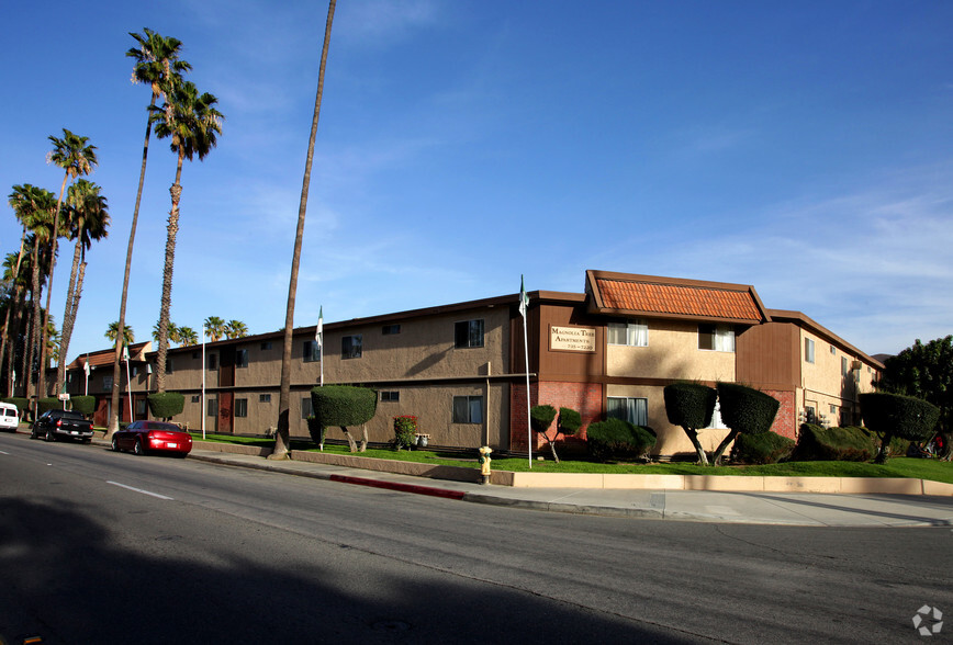 Primary Photo - Magnolia Tree Apartments