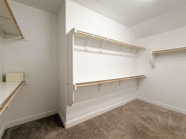 Building Photo - 1600 Irene Dr