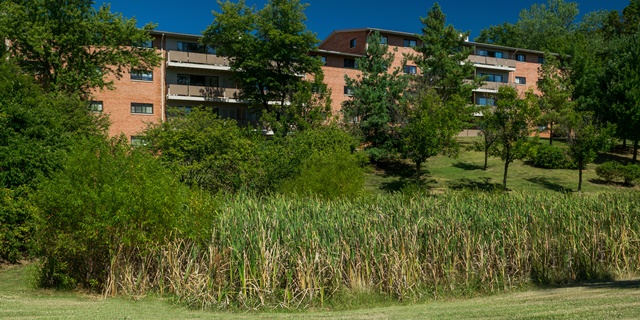 Building Photo - Capital View