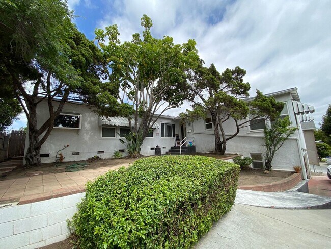Primary Photo - Large House!! Quick walk to campus!!