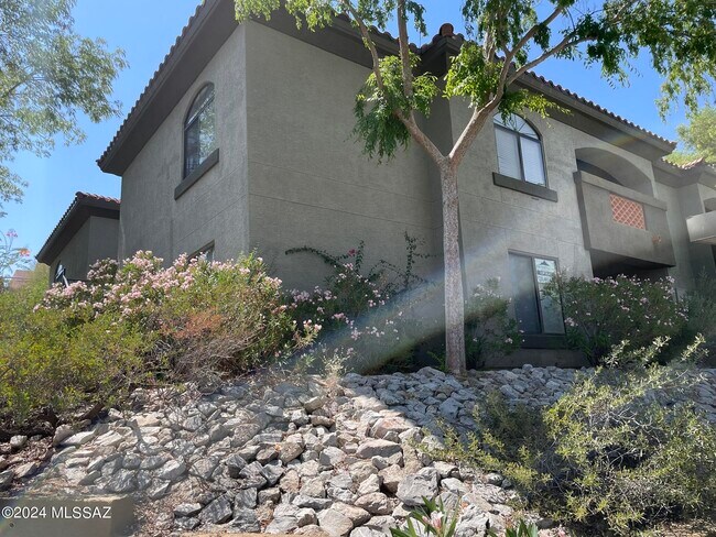 Primary Photo - 5751 N Kolb Rd