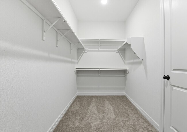 Building Photo - 5019 Field Sparrow Ln