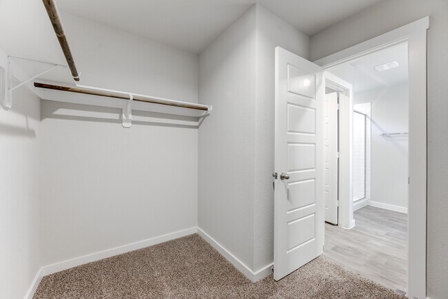 Building Photo - 2824 Wingmore Ln