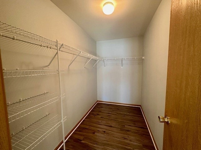 Building Photo - 146 Bertram Dr