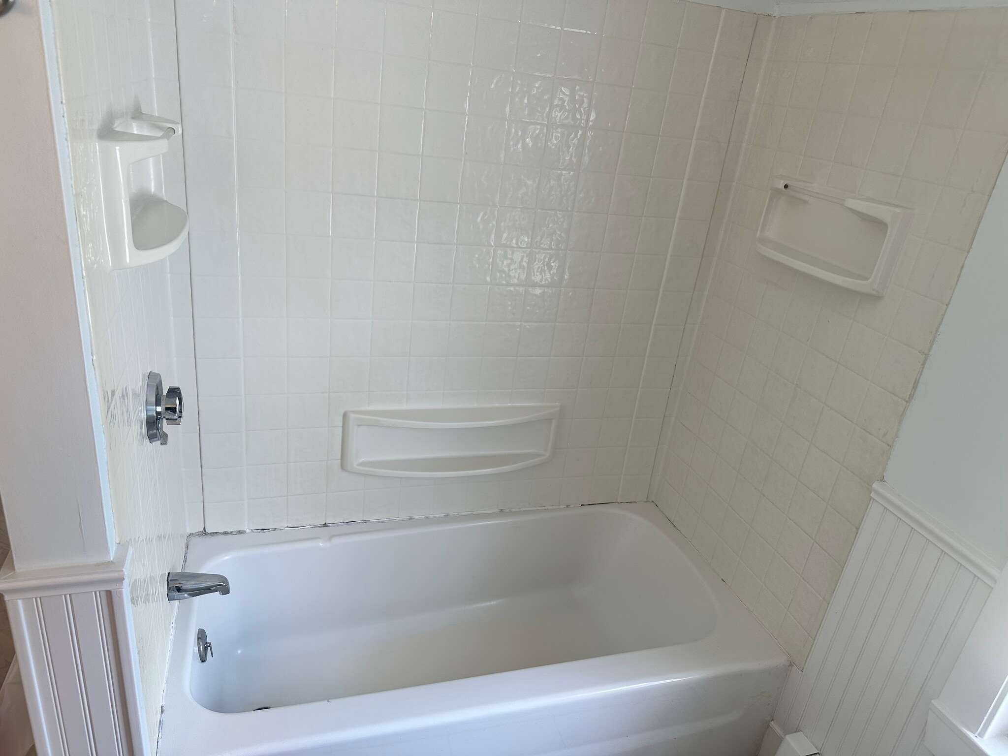 Bathtub - 324 Elm St