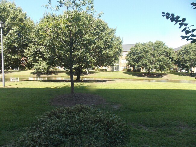 Building Photo - 3919 Gladiola Ct