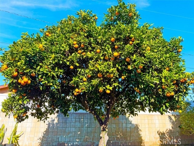 Building Photo - 22706 Rashdall Ave