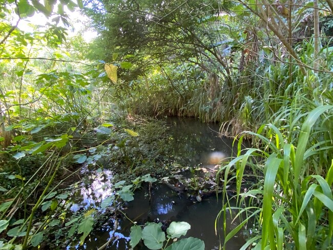 Building Photo - 630 E Kuiaha Rd