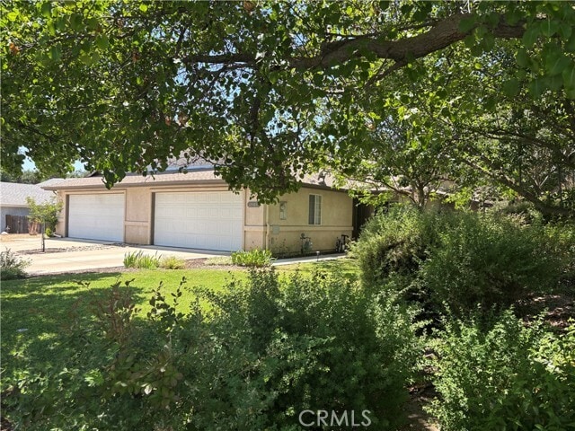 Building Photo - 1509 Trinity Ct