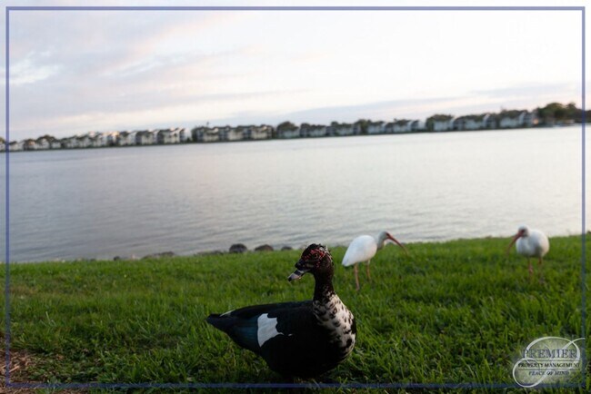 Building Photo - ***NEW PROFESSIONAL PHOTOS***LAKESIDE***2 ...