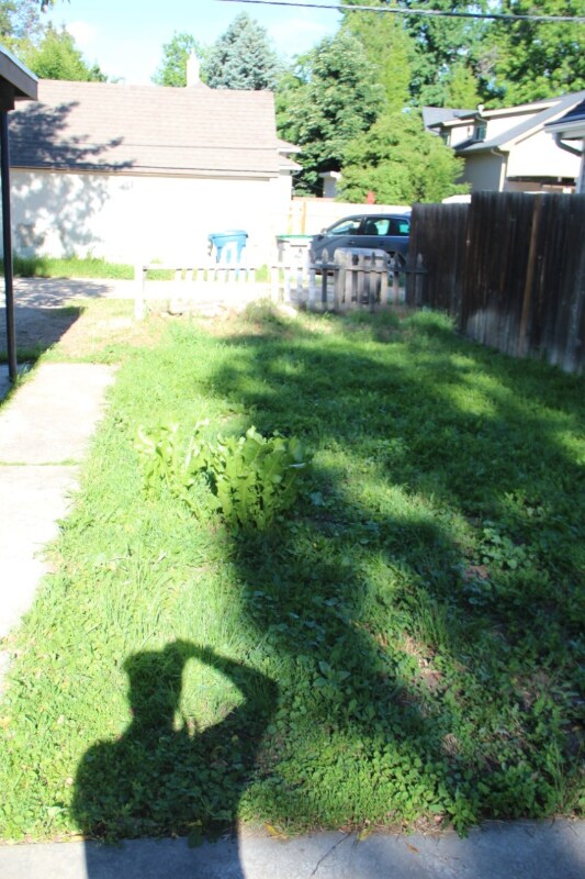 Building Photo - 1409 N 7th St