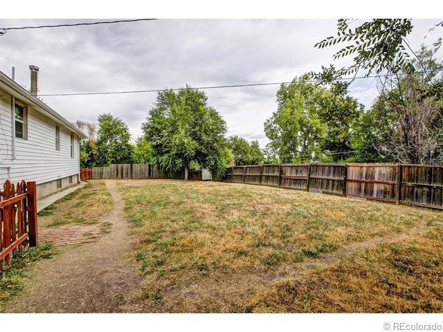 Backyard - 770 Loveland Street