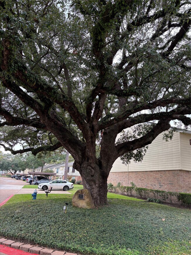 Building Photo - 14515 Wunderlich Dr