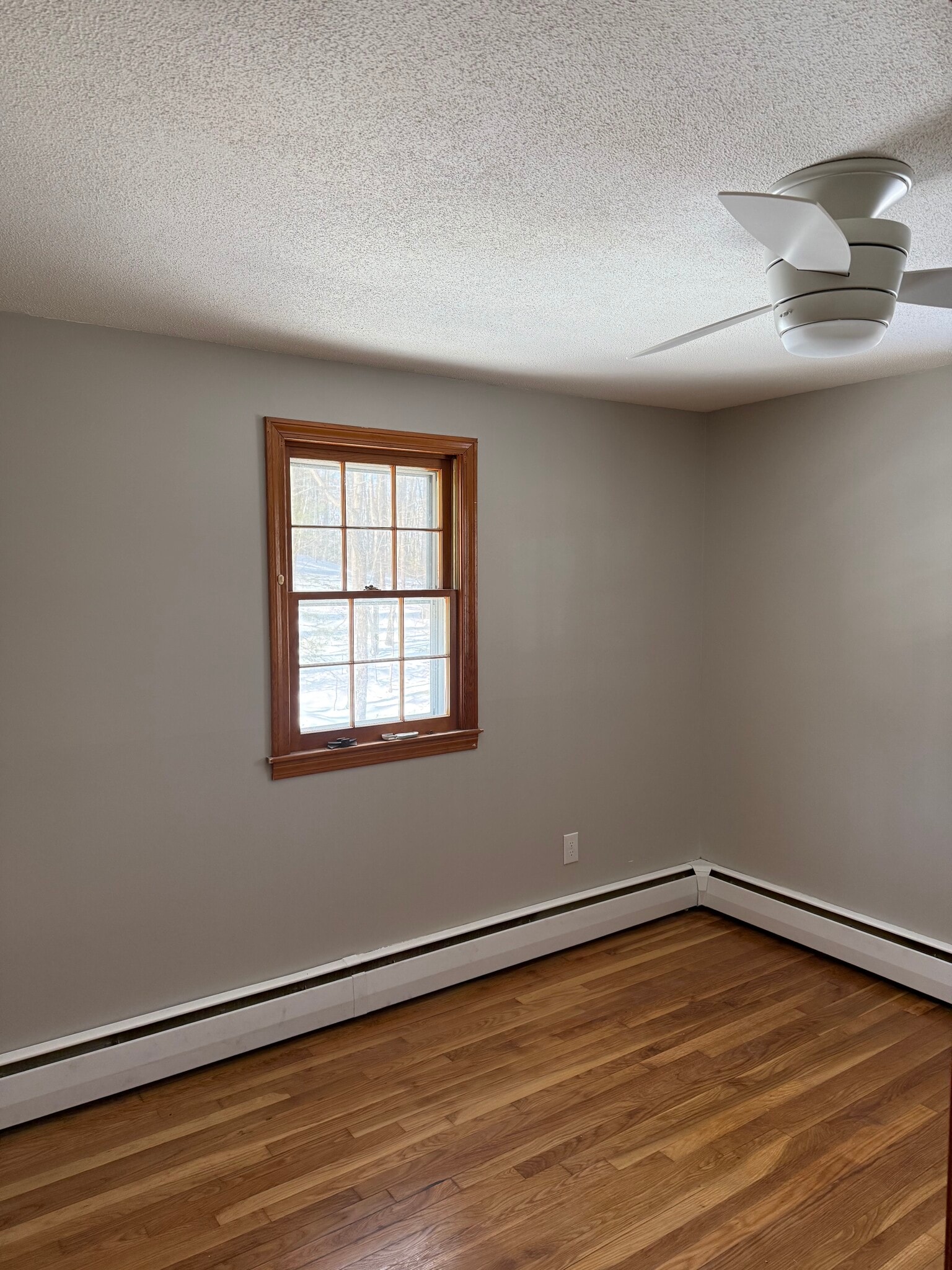 Building Photo - 29 Holden Rd